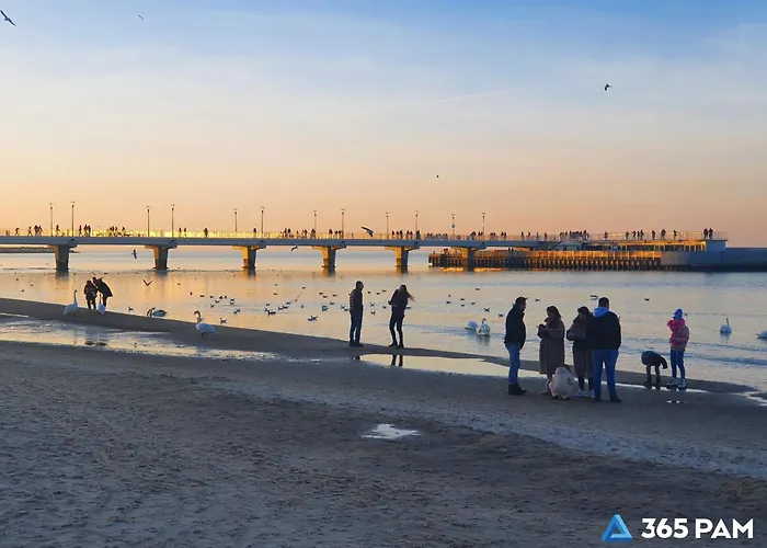 365pam - Europa Kołobrzeg